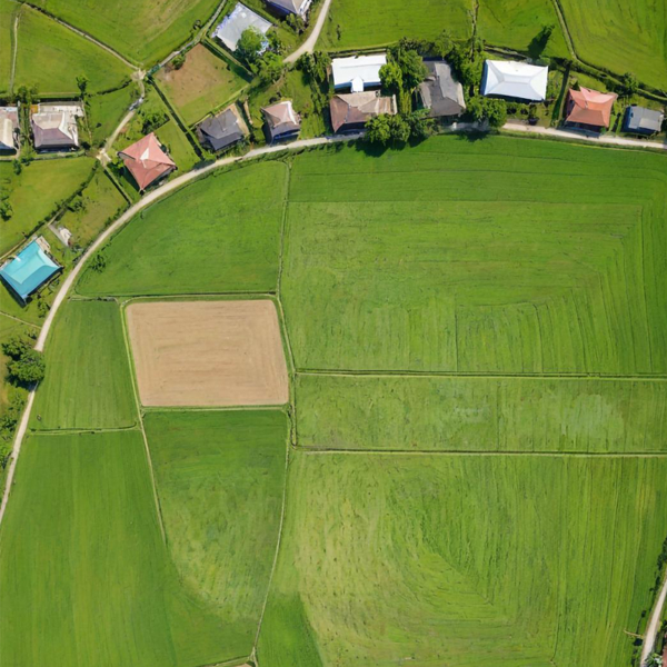 Plot-management